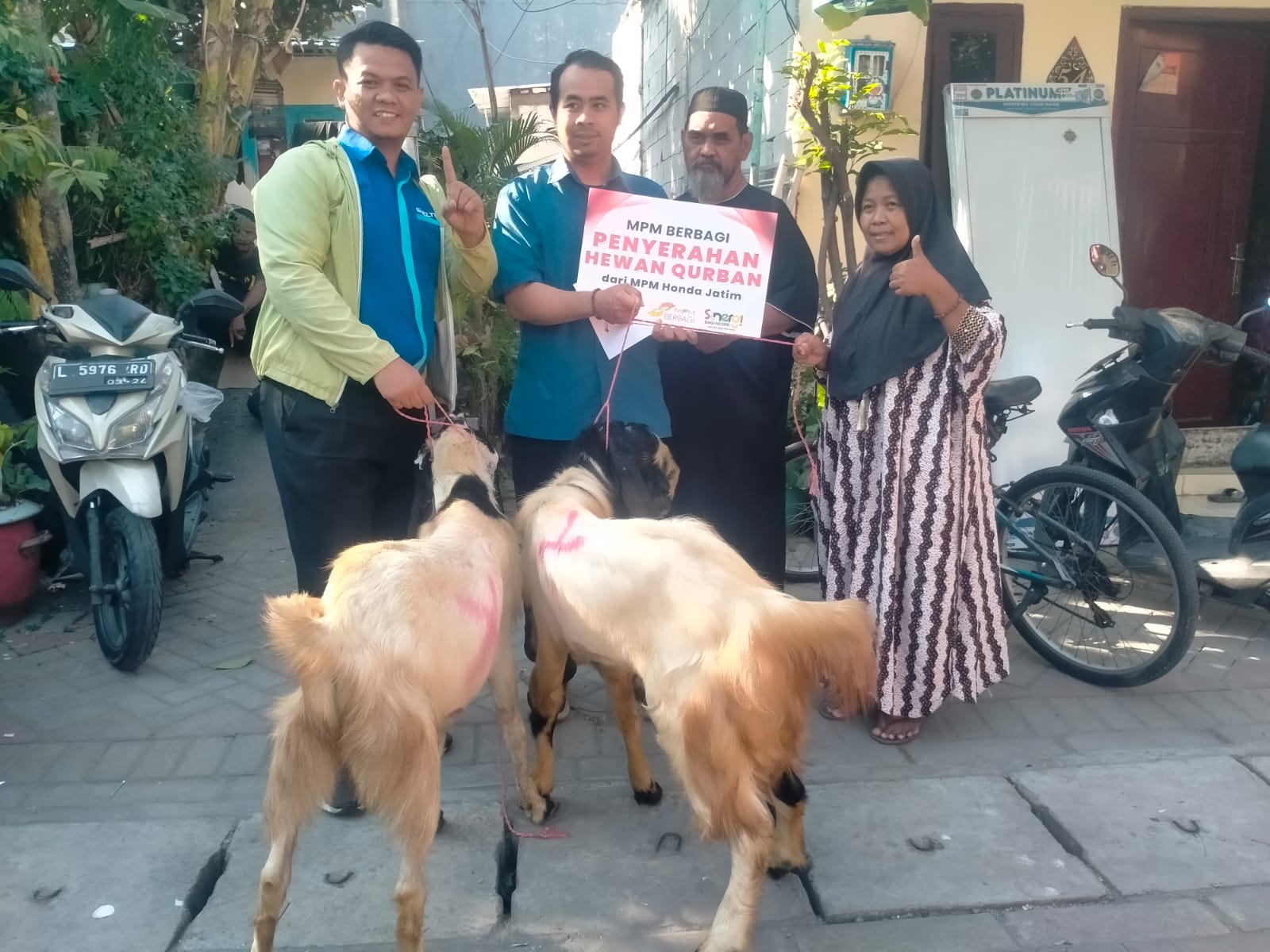 MPM Honda Jatim Konsisten Berbagi Hewan Kurban, Pererat Kebersamaan dengan Masyarakat